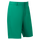 FJ-pargolfshorts
